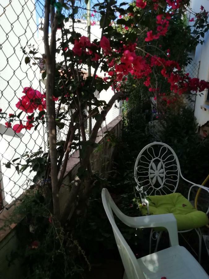 Can Pau Guesthouse Llançà Exterior foto